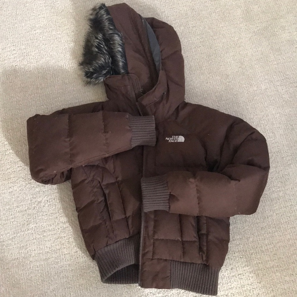The North Face Goose Down Puffer Jacket Fuzzy Hood